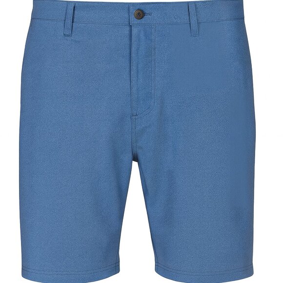 ONeill Men's Hybrid 10" Inseam Standard Fit Shorts Blue - Picture 1 of 7